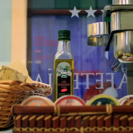 호텔 파타코니아 수르 호텔 3*