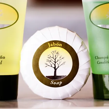 Hotel Patagonia Sur Hotel